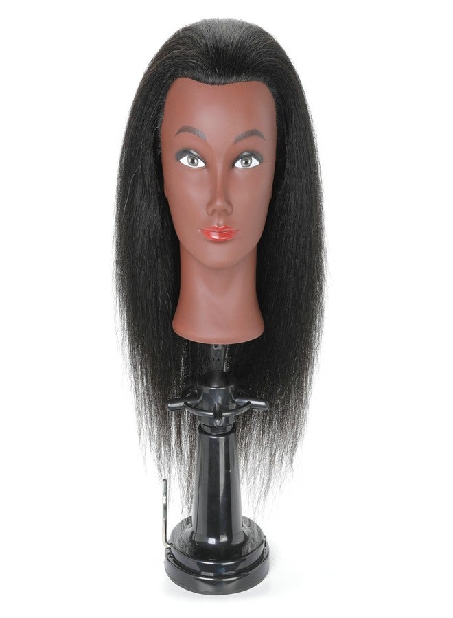 FUTAI Strong Grip Suction Cup Mannequin Head Stand Adjustable Wig Holder with Stable Vacuum Base Perfect for Hairdresser Tabletop Styling Braiding Practice Salon Display Fits All Styrofoam Foam Canvas Heads - Image 2